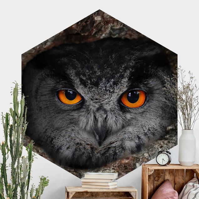 Self-adhesive hexagonal wall mural Watching Owl