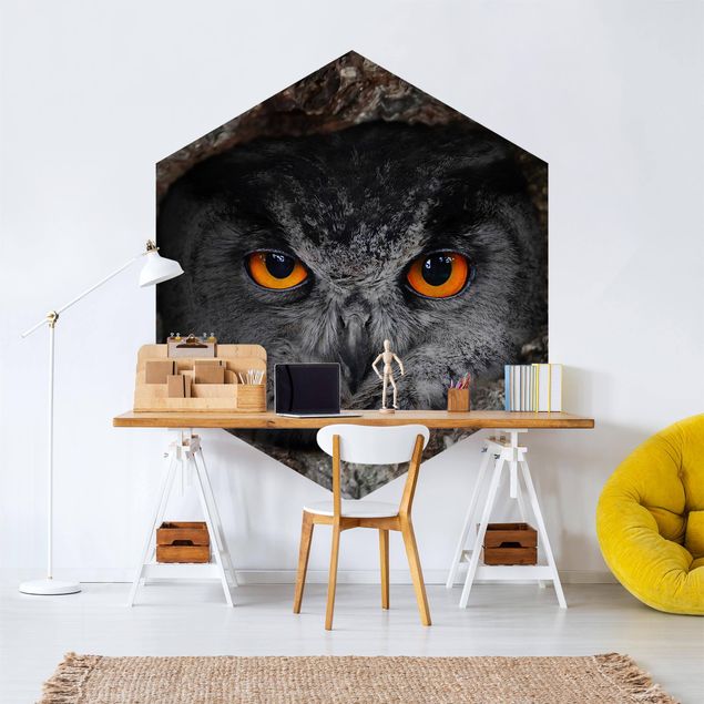 Self-adhesive hexagonal pattern wallpaper - Watching Owl