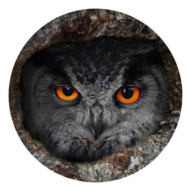 Self-adhesive round wallpaper - Watching Owl