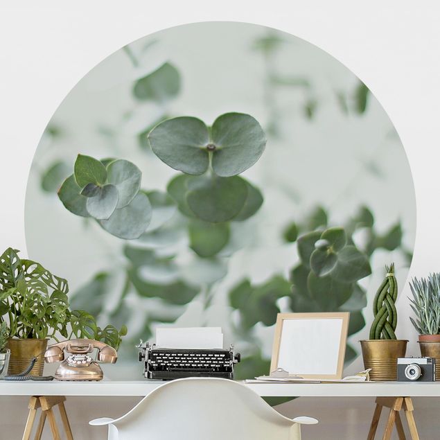 Self-adhesive round wallpaper - Growing Eucalyptus