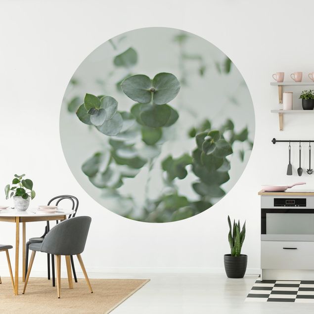 Self-adhesive round wallpaper - Growing Eucalyptus