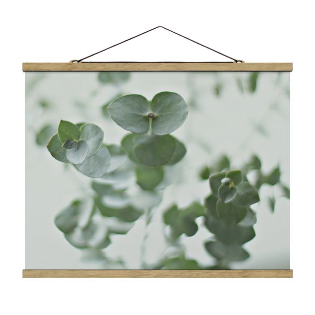 Fabric print with poster hangers - Growing Eucalyptus - Landscape format 4:3