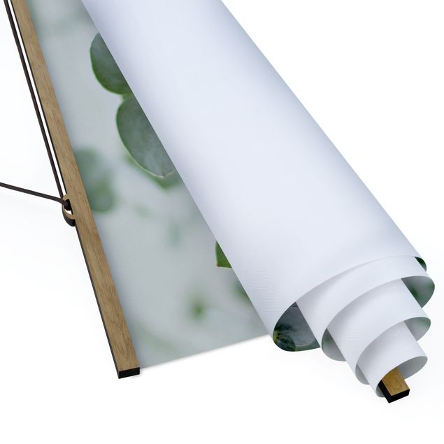 Fabric print with poster hangers - Growing Eucalyptus - Landscape format 4:3