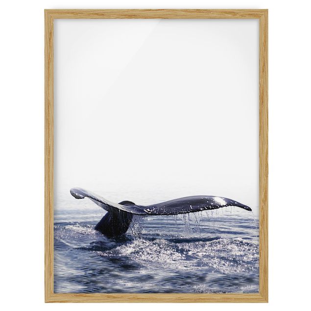 Framed poster - Whale Song On Iceland