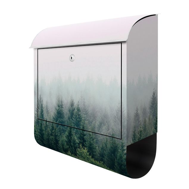 Letterbox - Foggy Forest Twilight