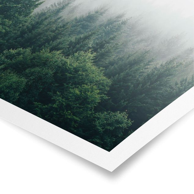 Poster - Foggy Forest Twilight