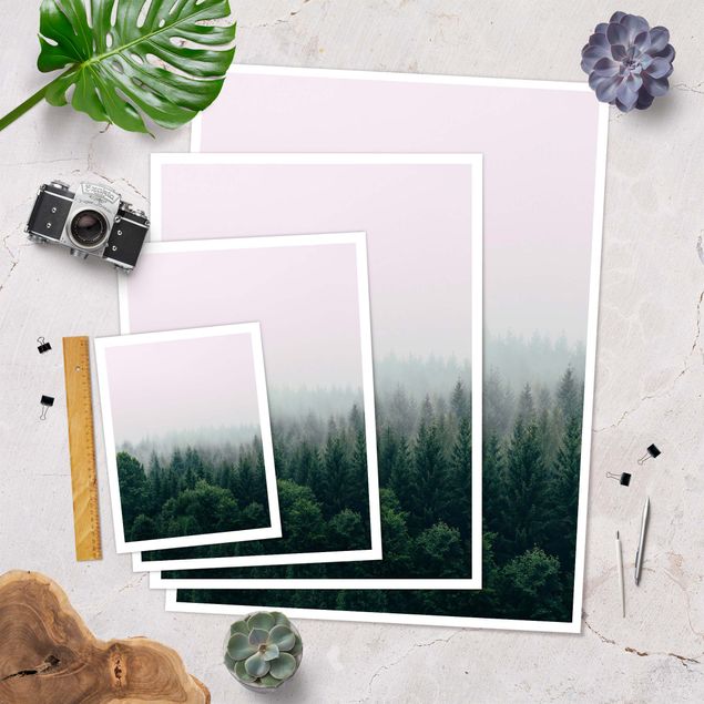 Poster - Foggy Forest Twilight