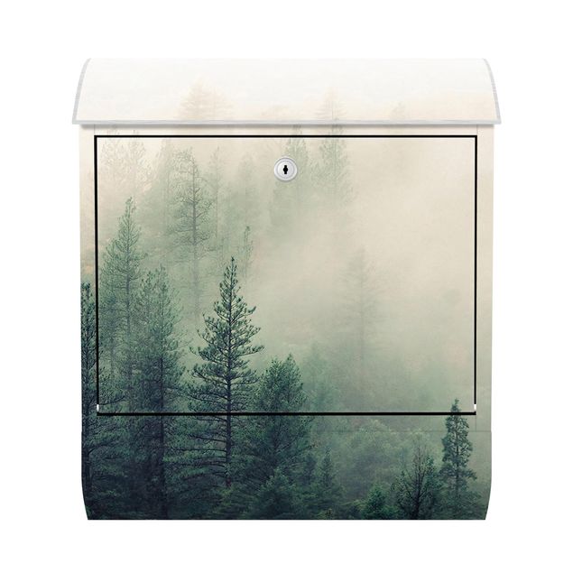 Letterbox - Foggy Forest Awakening