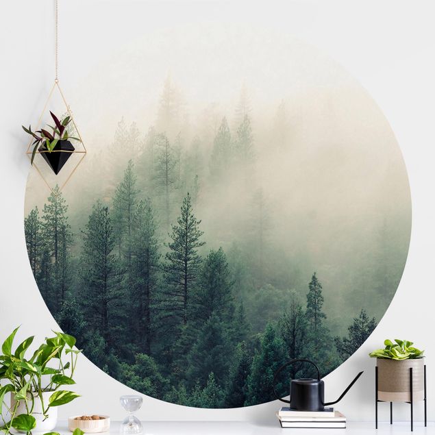 Wallpapers Foggy Forest Awakening
