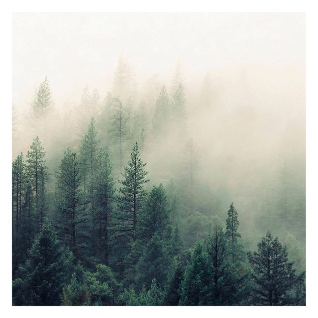 Wallpaper - Foggy Forest Awakening