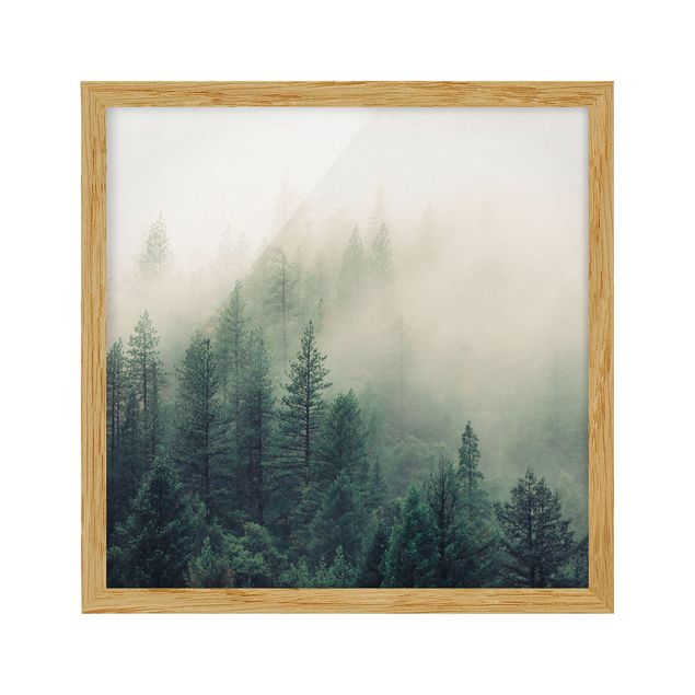 Framed poster - Foggy Forest Awakening