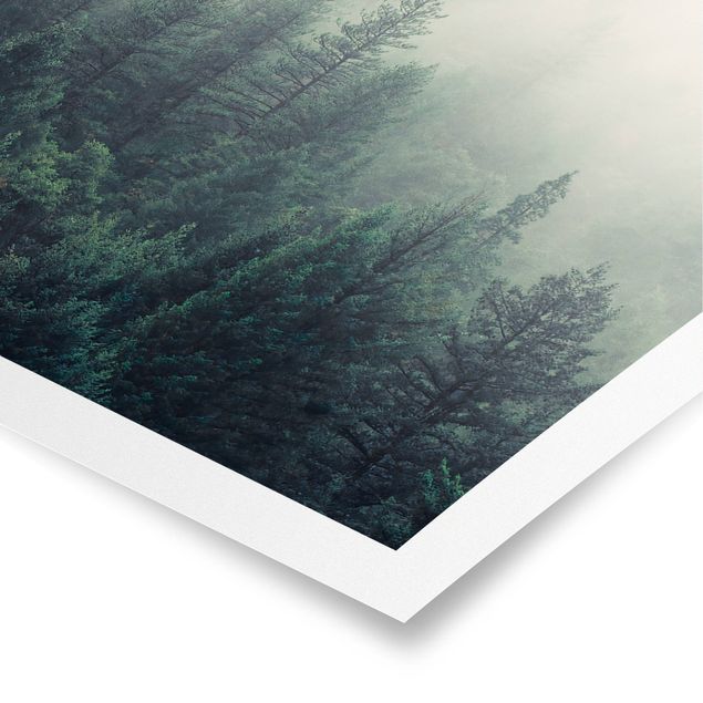 Poster - Foggy Forest Awakening