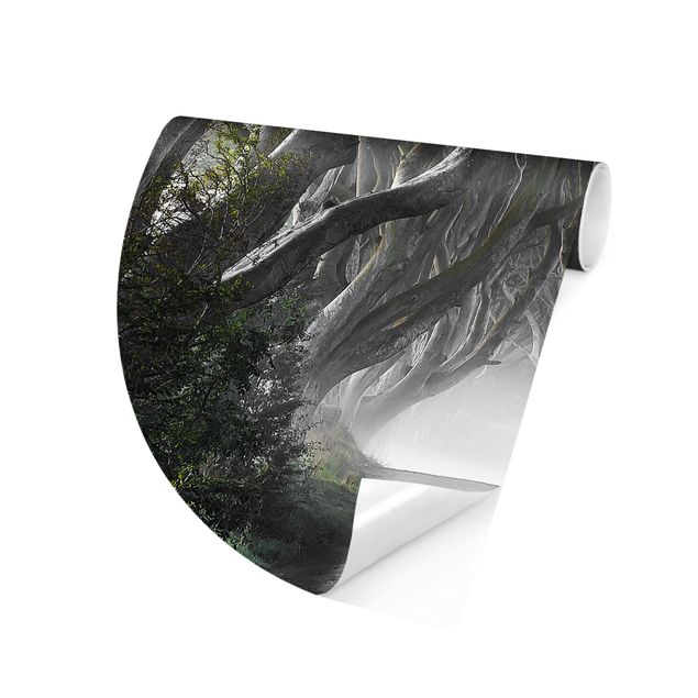 Self-adhesive round wallpaper - Forest In Northern Ireland