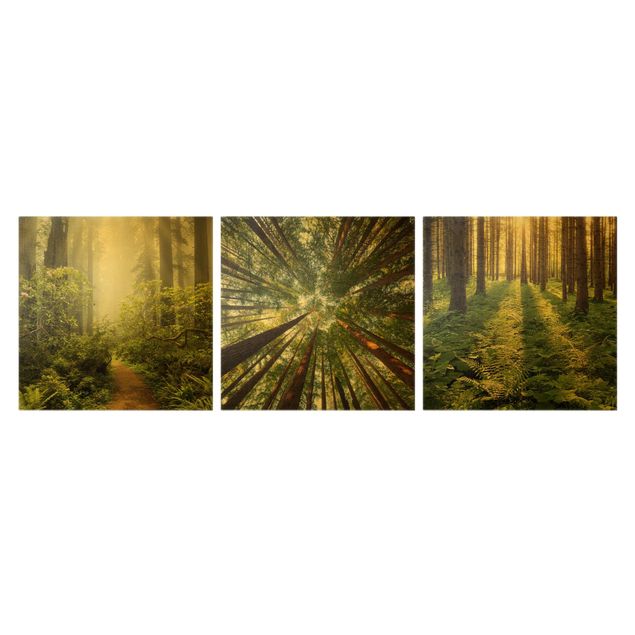 Print on canvas 3 parts - Forest Trio