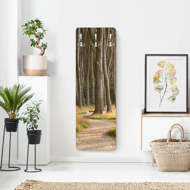 Coat rack - Forest Road In Northern Germany