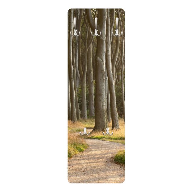 Coat rack - Forest Road In Northern Germany