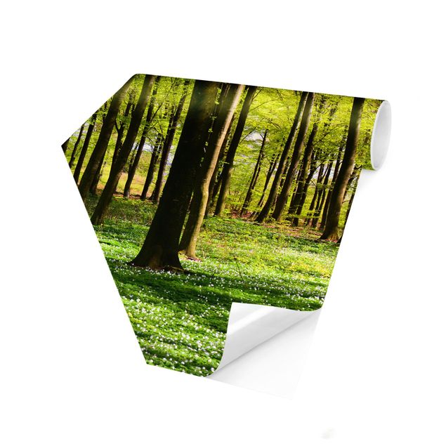 Self-adhesive hexagonal pattern wallpaper - Forest Meadow