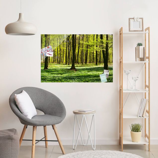 Magnettafel Glas Forest Meadow