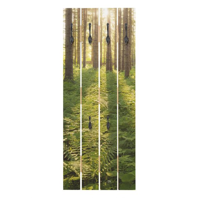Wooden coat rack - Sun Rays In Green Forest