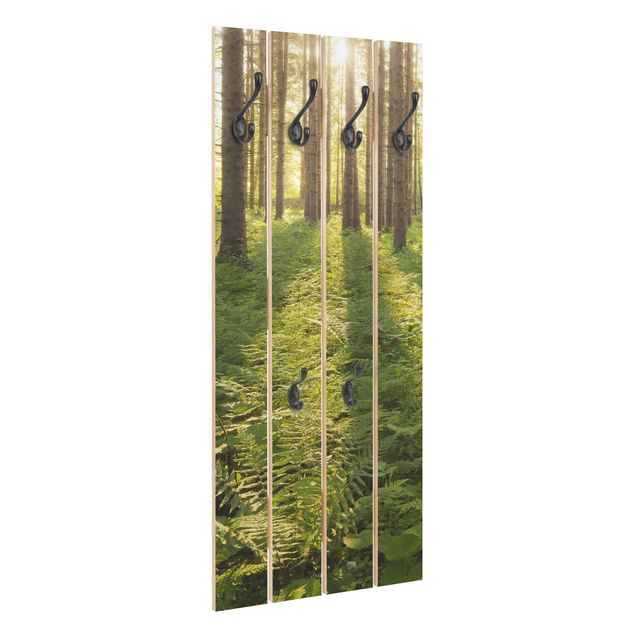 Wooden coat rack - Sun Rays In Green Forest