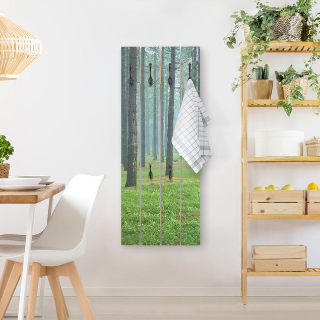 Wooden coat rack - Deep Forest With Pine Trees On La Palma