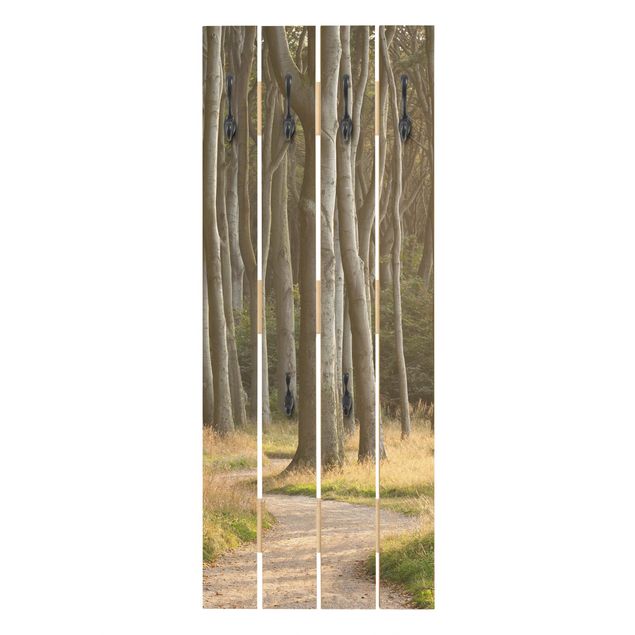 Wooden coat rack - Forest Road In Northern Germany