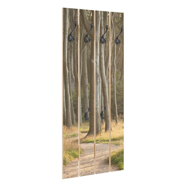 Wooden coat rack - Forest Road In Northern Germany