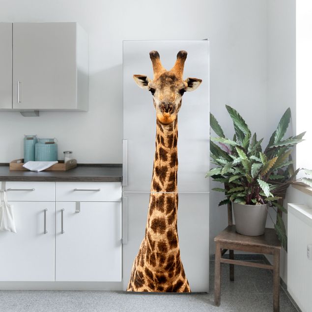 Wall sticker - Giraffe head