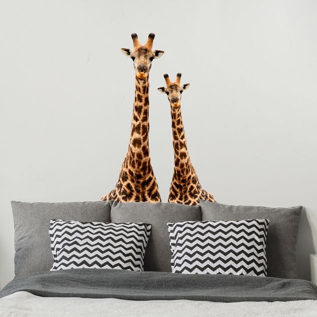 Wall sticker - Portrait of two giraffes