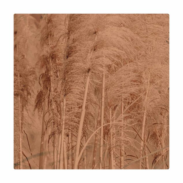 Dining room rugs Warm Pampas Grass In Summer