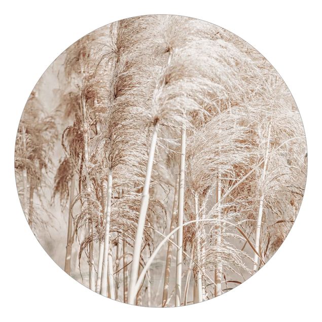 Self-adhesive round wallpaper - Warm Pampas Grass In Summer