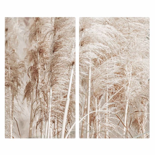 Stove top covers - Warm Pampas Grass In Summer