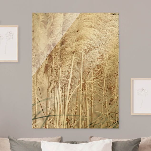 Glass print - Warm Pampas Grass In Summer - Portrait format