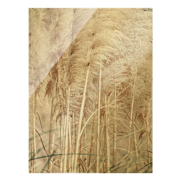 Glass print - Warm Pampas Grass In Summer - Portrait format