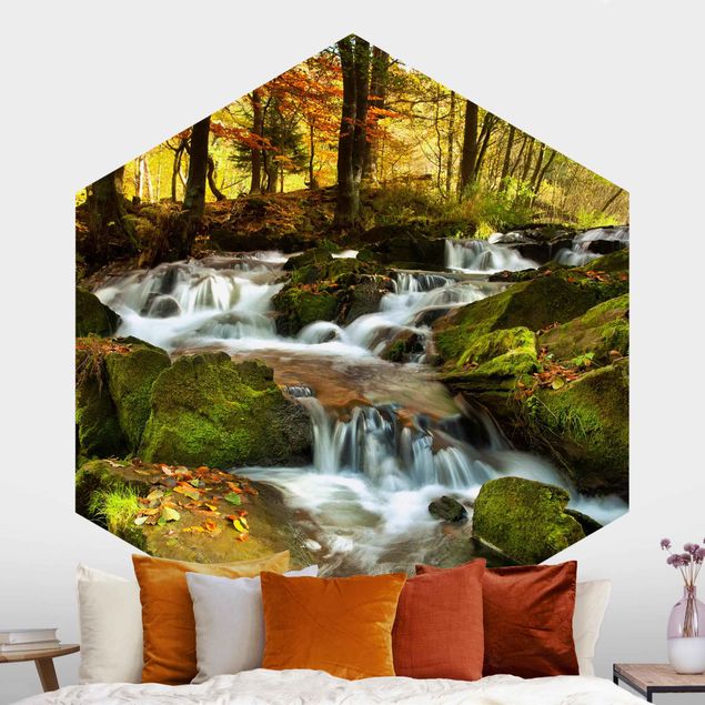 Self-adhesive hexagonal wall mural Waterfall Forest In The Fall