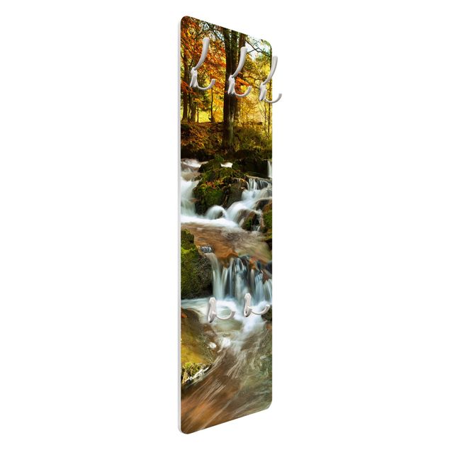 Coat rack landscapes - Waterfall Autumnal Forest
