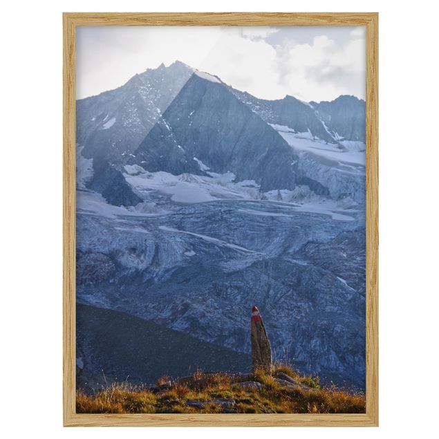 Framed poster - Marked Path In The Alps