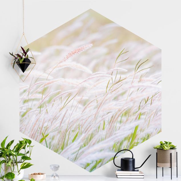 Hexagonal wallpapers Soft Grasses