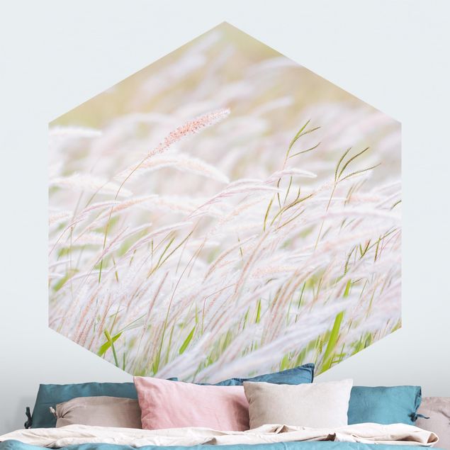 Wallpapers Soft Grasses