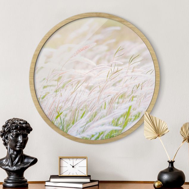 Framed prints round Soft Grasses
