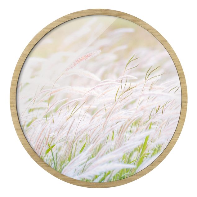 Circular framed print - Soft Grasses