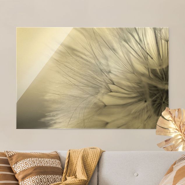 Glass print - Soft Dandelions II - Landscape format