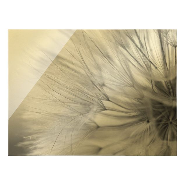 Glass print - Soft Dandelions II - Landscape format