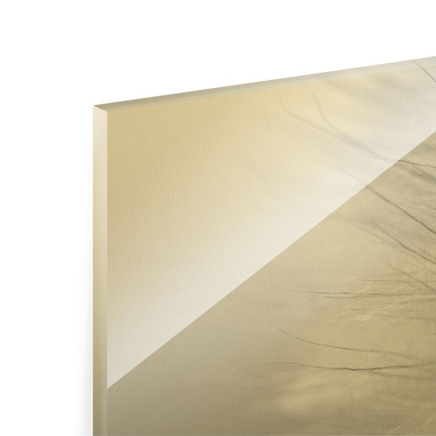 Glass print - Soft Dandelions II - Panorama
