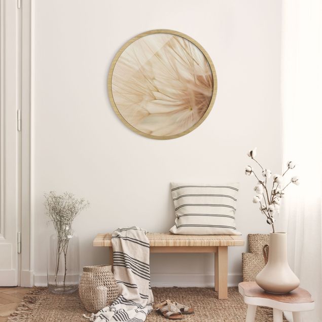 Circular framed print - Soft Dandelions