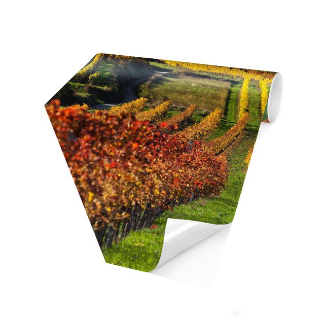 Self-adhesive hexagonal pattern wallpaper - Vineyard View