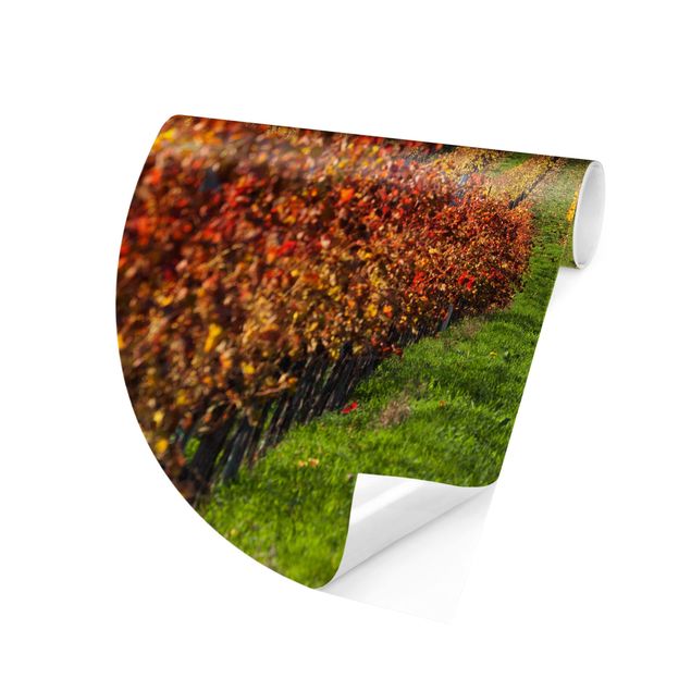 Self-adhesive round wallpaper - Vineyard View
