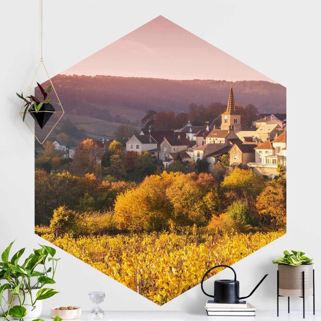 Hexagonal wallpapers Vineyards In France