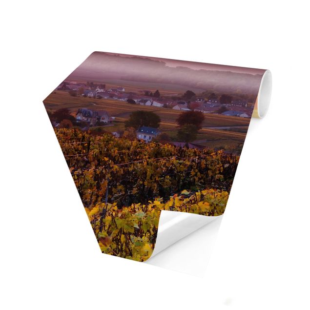Self-adhesive hexagonal pattern wallpaper - Wine Plantations At Sunset