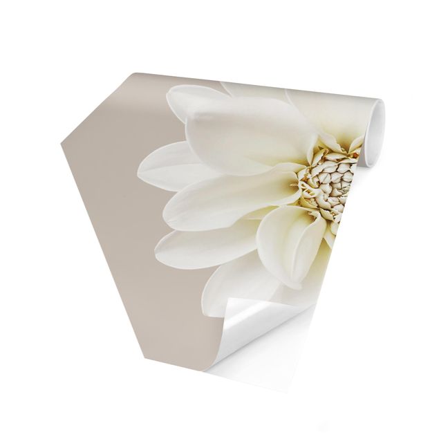 Self-adhesive hexagonal pattern wallpaper - White Dahlia On Cream